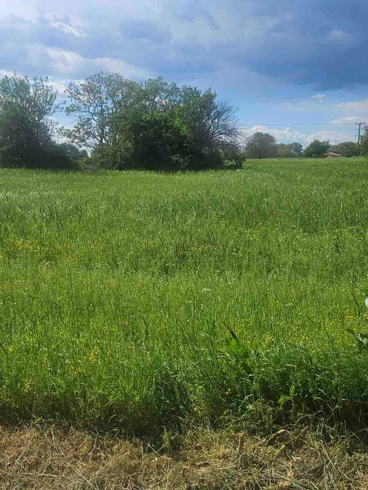 Парцел 1600 кв.м.