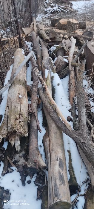 Агаш отын  дрова