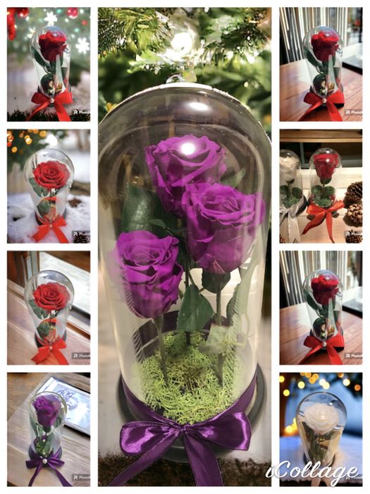 Cadou ideal Sf Andrei, Mos Nicolae ,Craciun