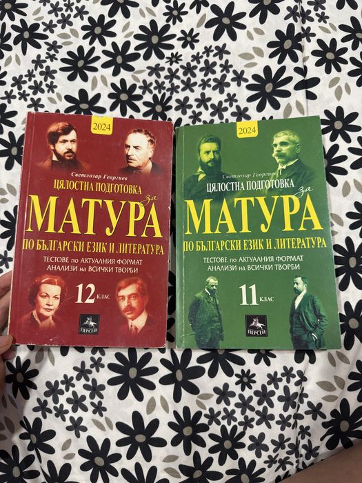 ДЗИ Бел-подготовка