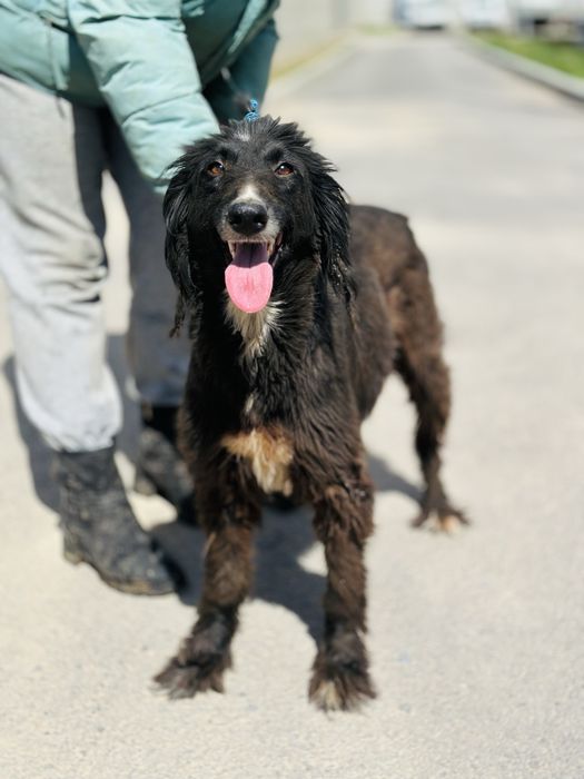 Тазы девочка. Ищет семью