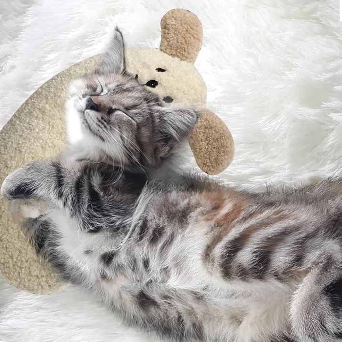 Мека възглавница за домашни любимци