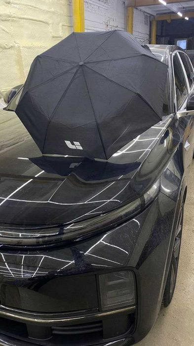 оригинальный зонтик Lixiang