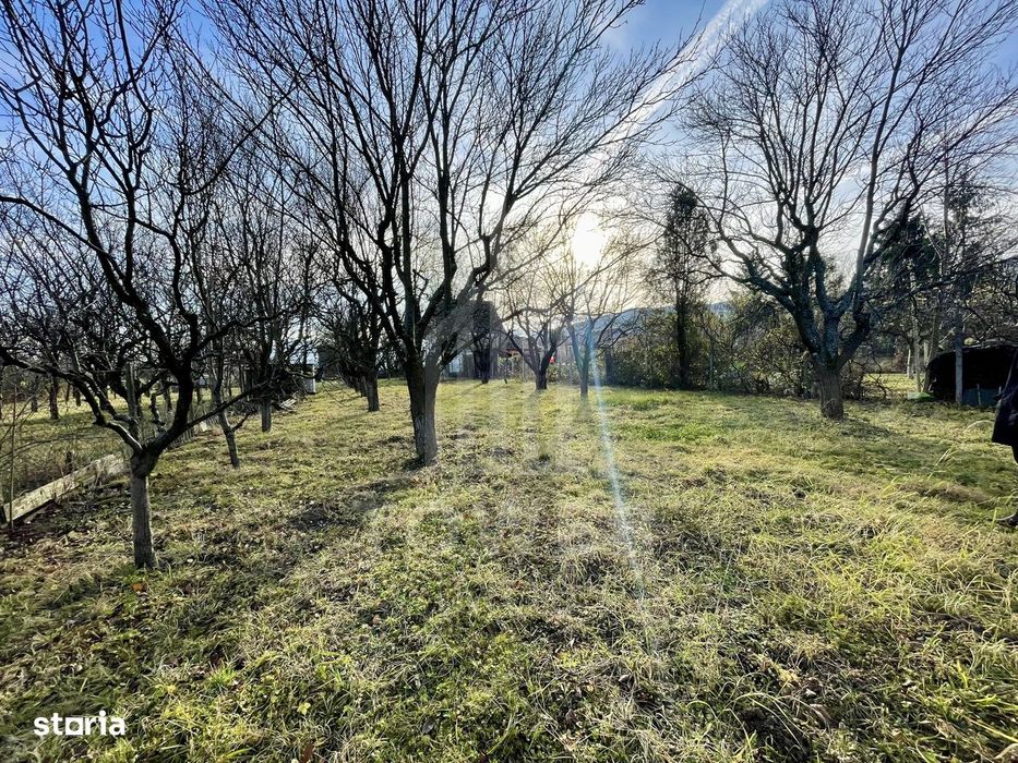 Teren intravilan 1.915 mp + cabană din lemn | Tocile – Sadu
