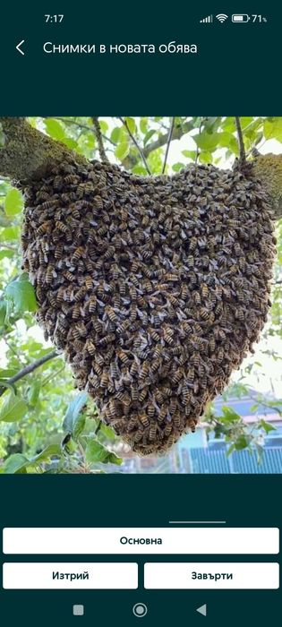 Кошери и отводки