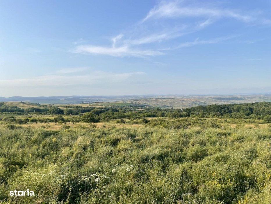 Teren intravilan, 1000 mp, PUD, zona Padureni