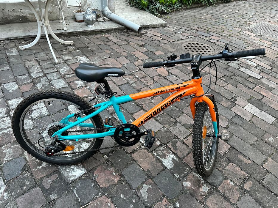 MTB Copii Pegas Mini Drumet 20'' Mtb Portocaliu Turcoaz 2023