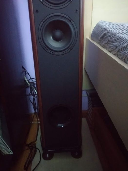 Акустика swans diva