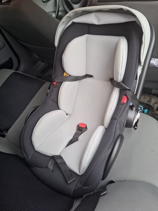 Scoica auto nou  nascut