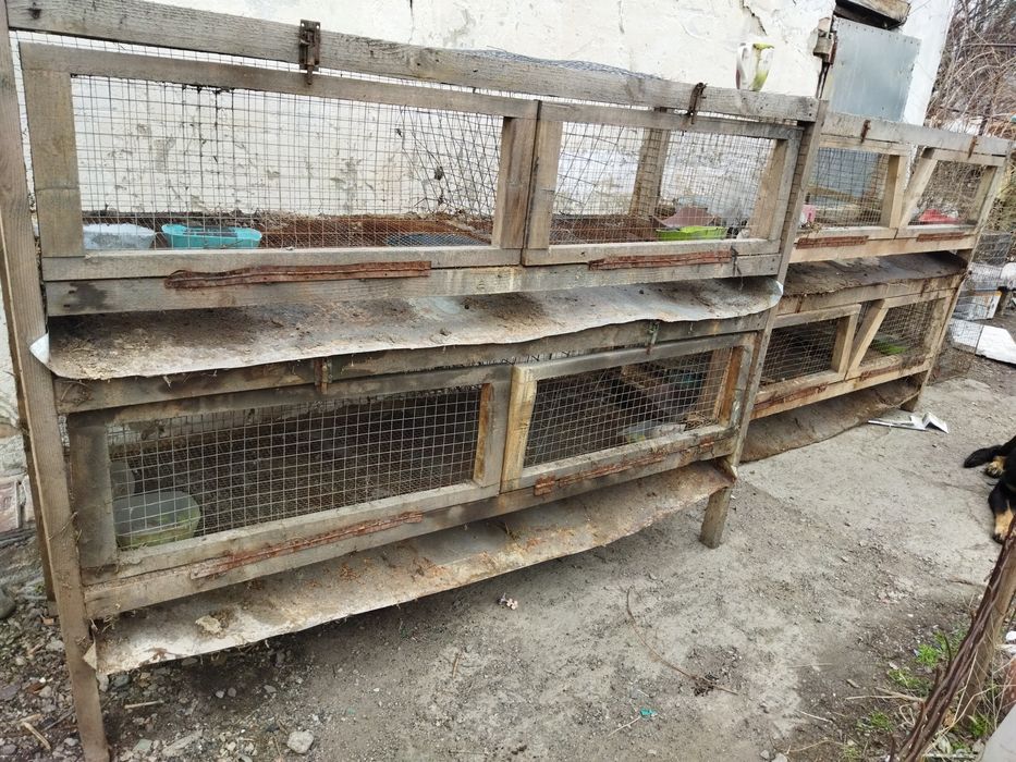 Клетки для кроликов