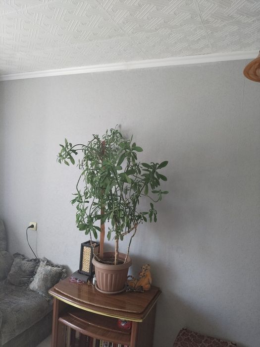 Продам 3х комнатную кв