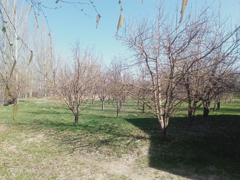 Продам дом кирпичный