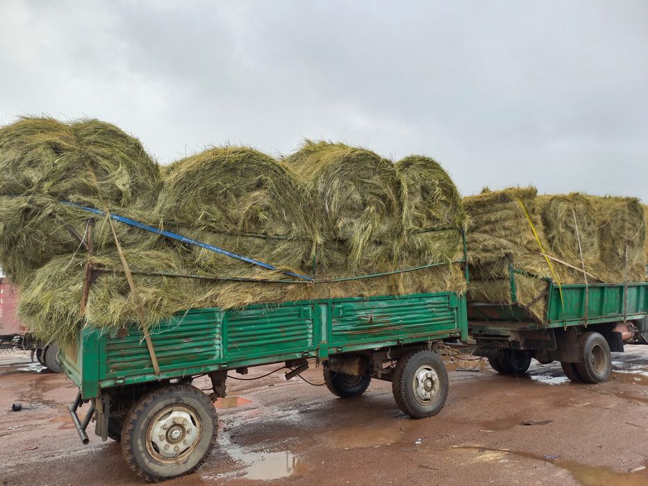 Продоется сено рулонах