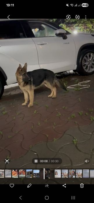 немецкая очварка