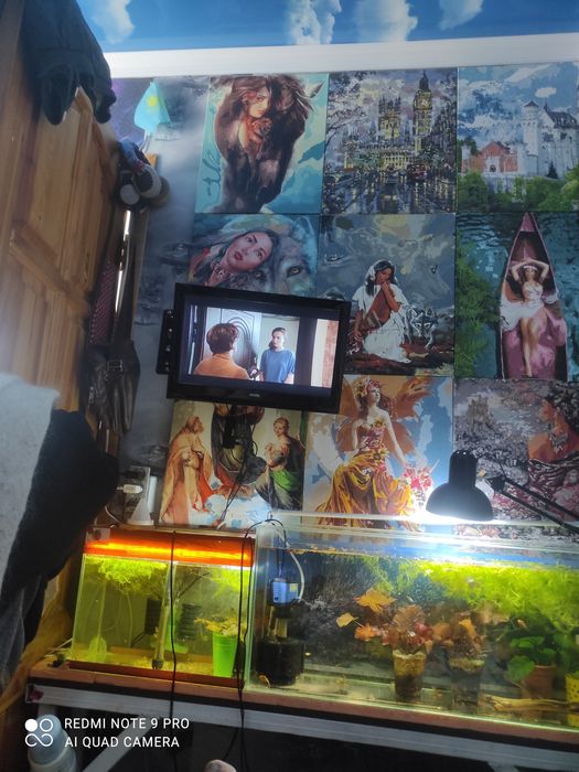 Продам телевизор. Vester.