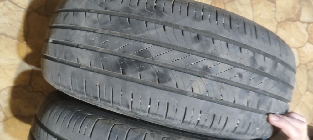 Шина летний 3 штук