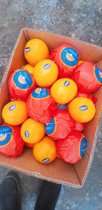 В продаже апельсины ,сорт девочка (Навел) Египет