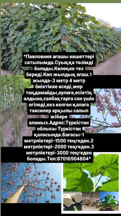 барлық ата-аналар жалаңаш