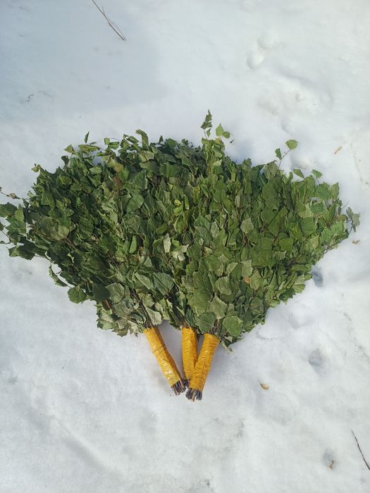 Продам веники,  берёзовые.