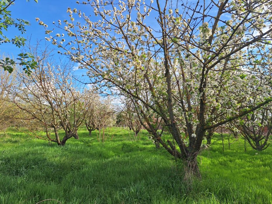 Продава се Земеделски имот в с. Дядово, Област Сливен -  кв.м за 3978 €/дка - Снимка #1