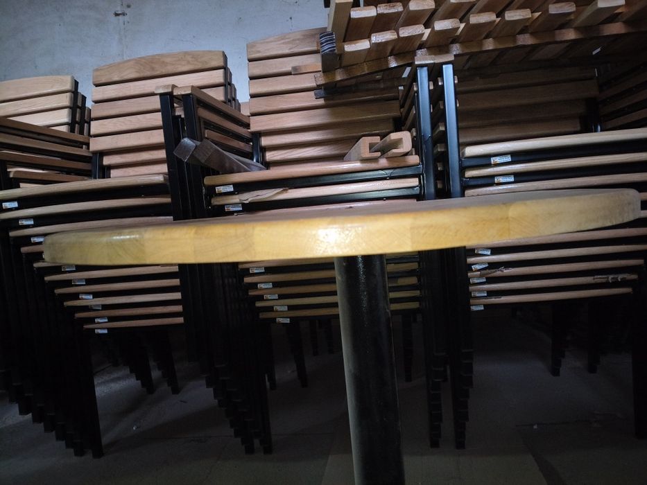 Blaturi Stejar Masiv