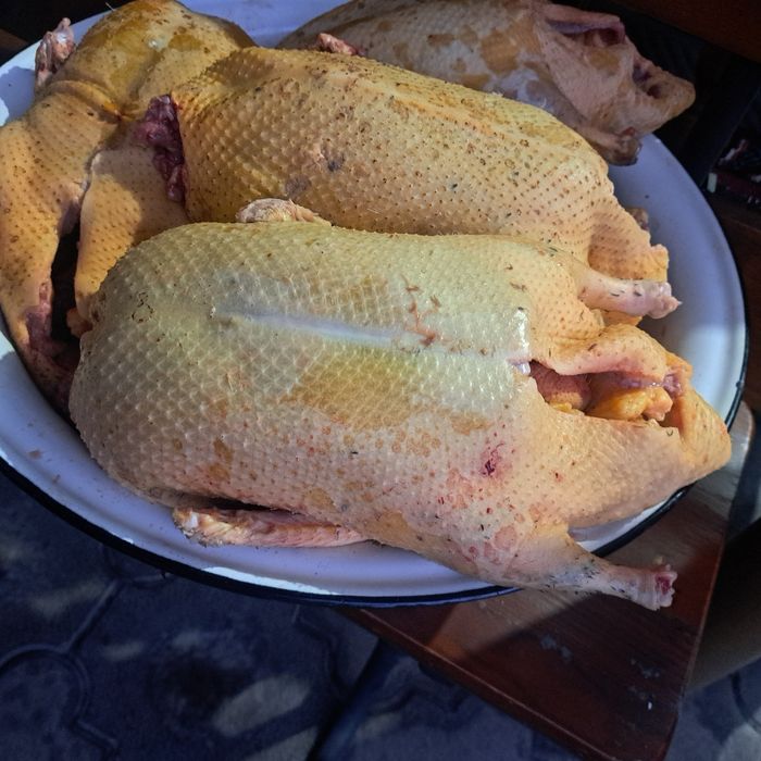 Продам домашних гусей и уток