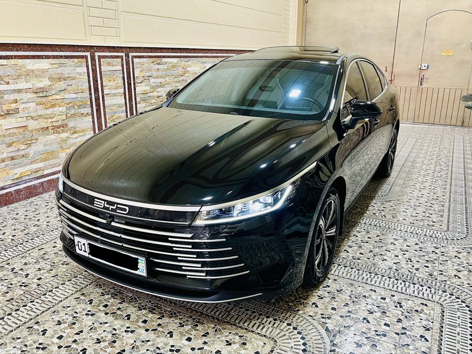 BYD Chazor 120 tali kraska Toza