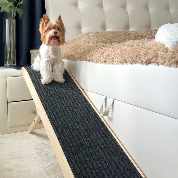 Регулиращи рампи за кучета