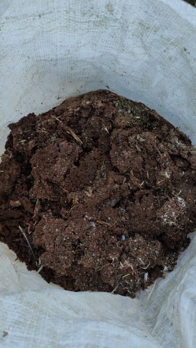 Gunoi ,,găinaț de porumbel" îngrășământ natural