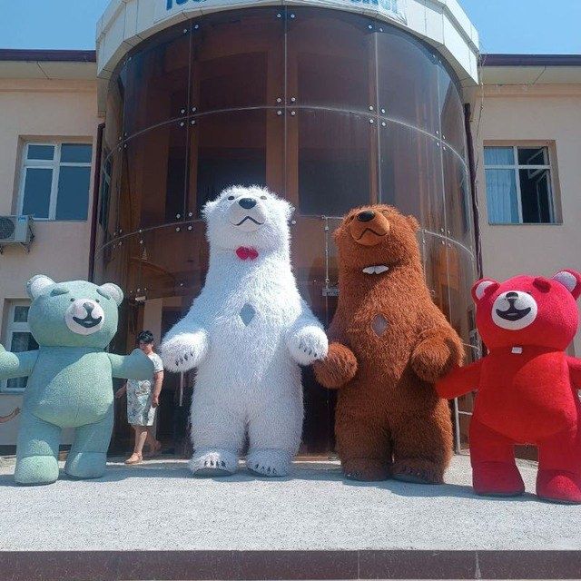 Teddy ayiq hovoli qizil koʻk ayiqlar sarpo qutilar  qutilarni material