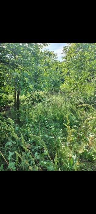 Продава се Парцел в с. Бръшлен, Област Русе - 1495 кв.м за 6 €/кв.м - Снимка #3