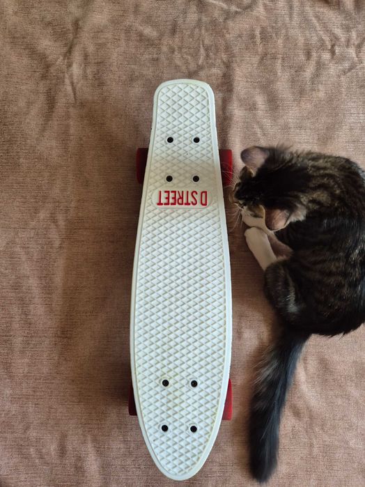 Polyprop Graphic Ink Plastic Skateboard