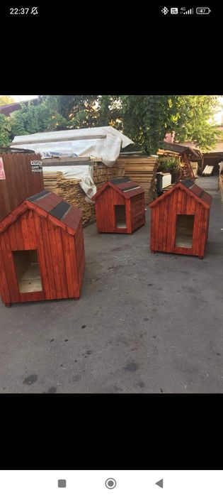 Cotețe călduroase și confortabile – un cămin pentru animăluțul tău