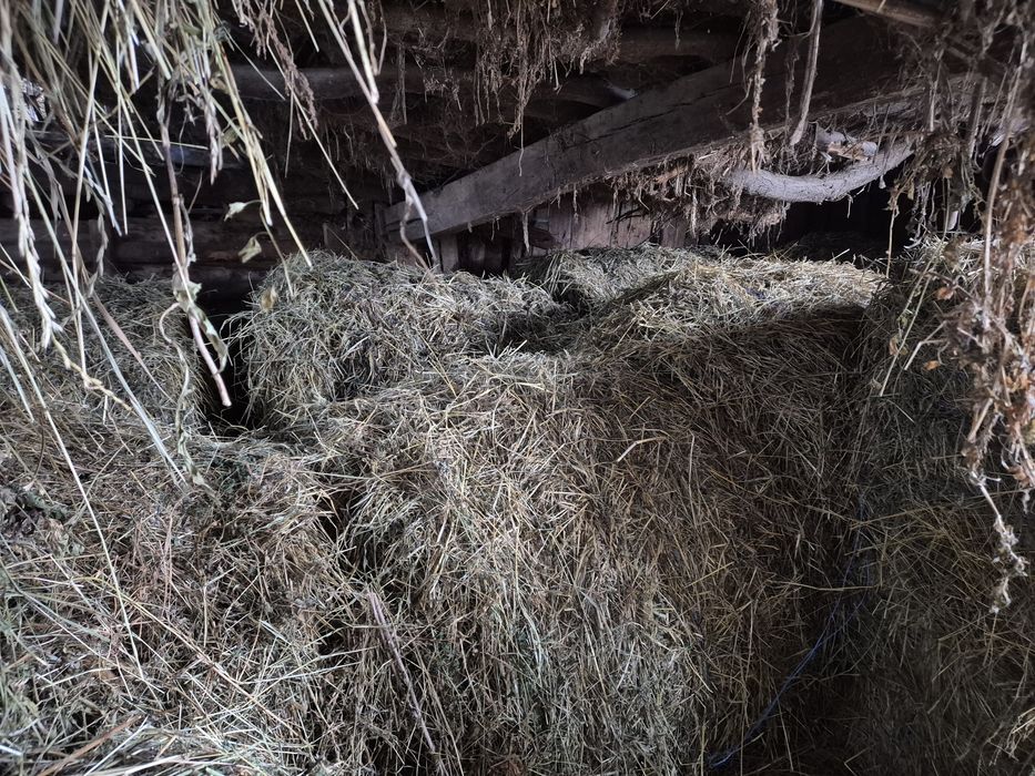 Baloti mari  rotunzi ,coasa a doua,lucerna +fan