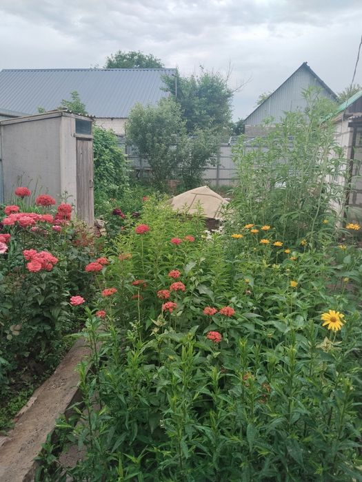 Продам дом.  Район облбольница.