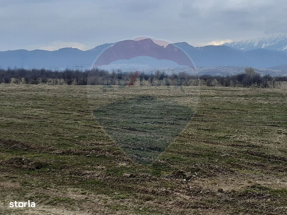 Teren 10,000mp Rasnov / Drumul Panicel