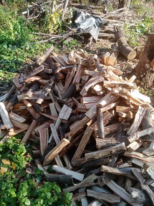 Дрова в мешках продам