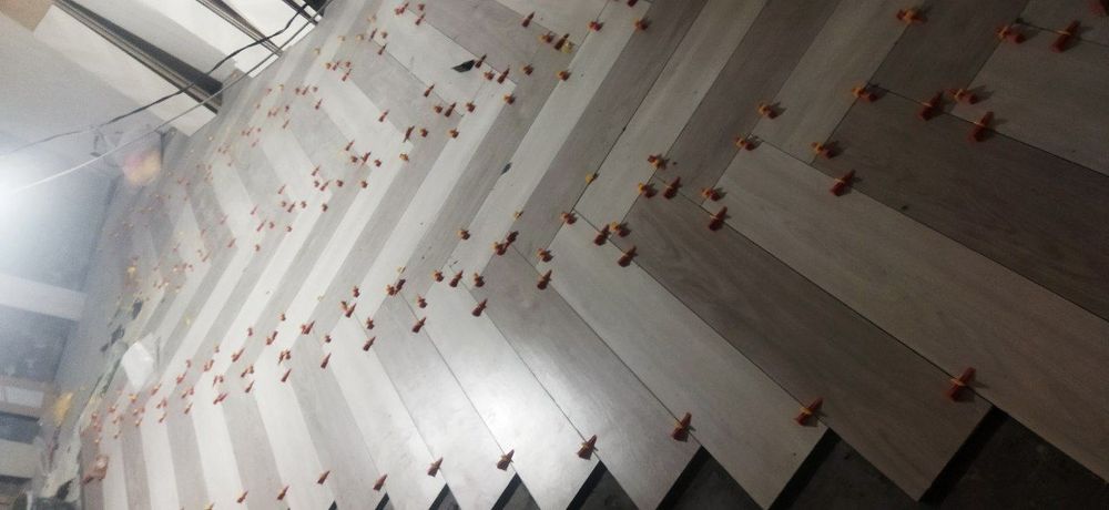 Кафел,майолика,кабанчик терамиз