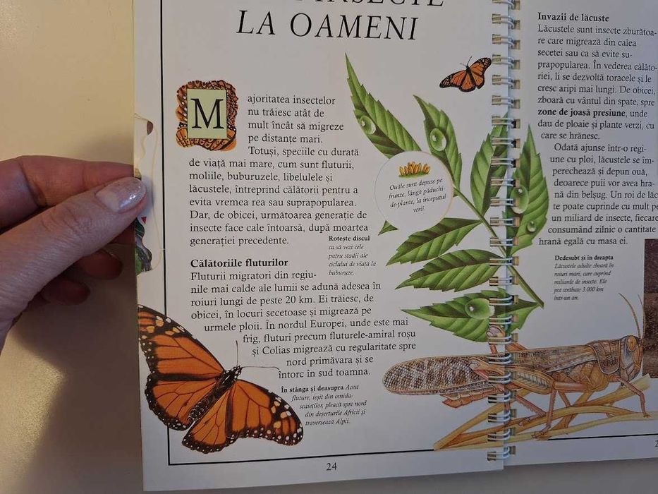 Lumea animalelor - Numai cei puternici supraviețuiesc (ed. Teora)