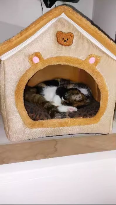 Căsuța animăluțe