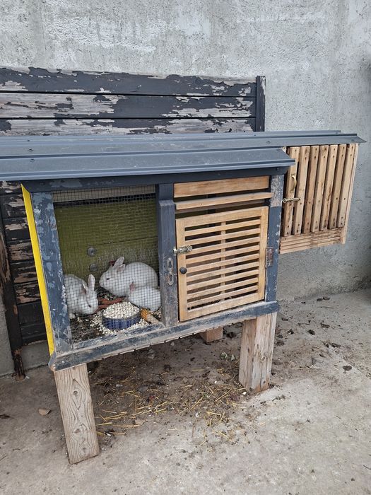 Cușcă pentru iepurași