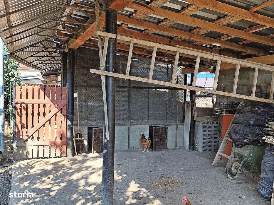 Casa la tara in Sacadat, Bihor, teren 2826 mp, acces auto - Vanzare