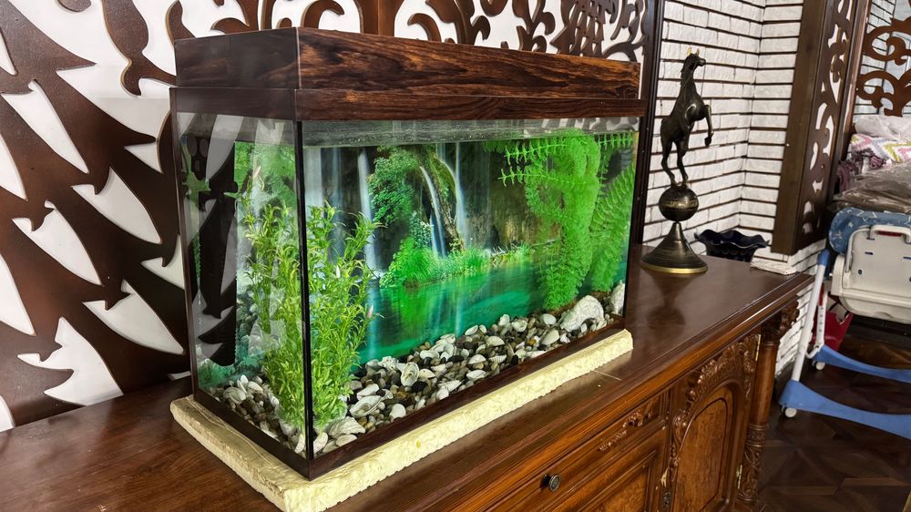 Аквариум для рыбок .