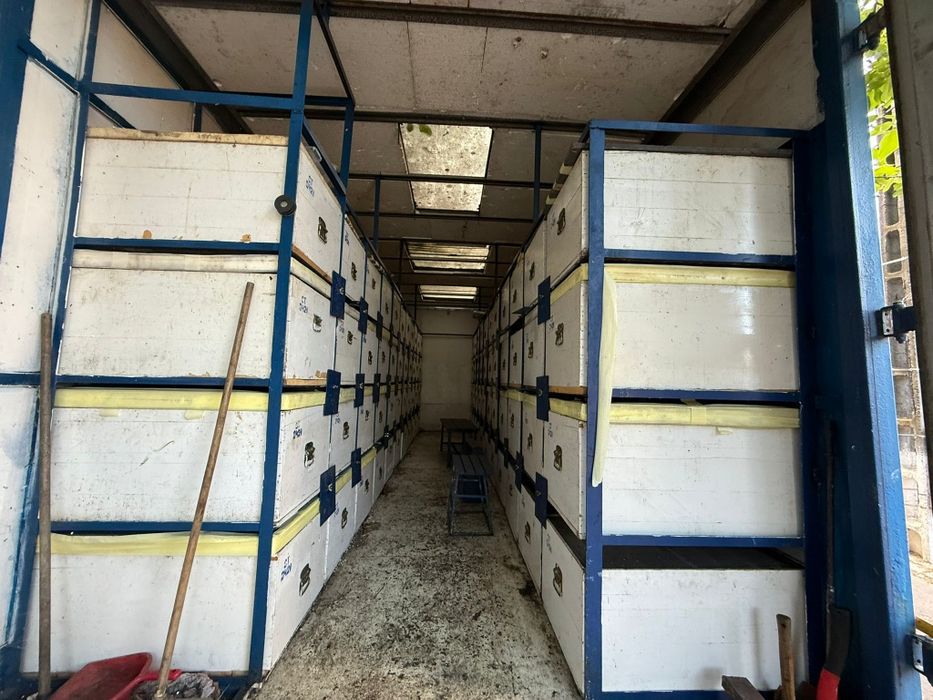 Vand Camion apicol Mercedes Atego