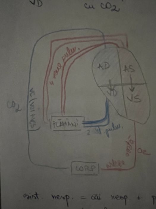 Meditatii biologie - medicina dentara/generala/veterinara
