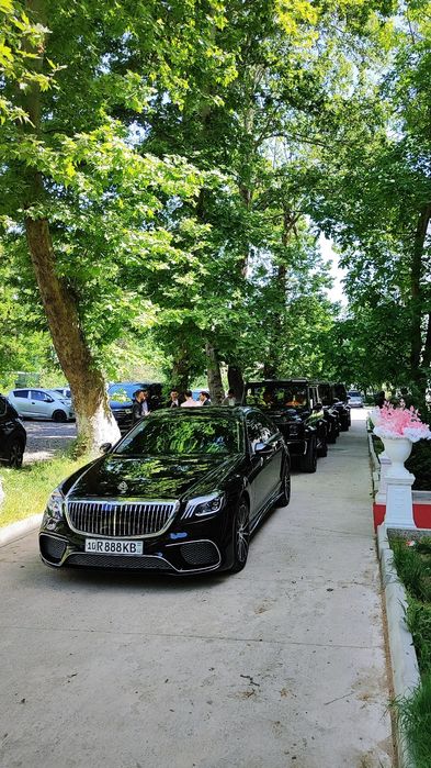 Kortej Toy va Rodom Hizmati