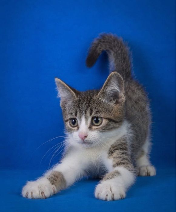Чудный мальчик, 2,5 месяца