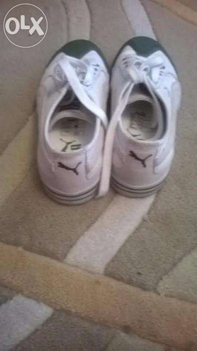 tenesi dama PUMA, 36