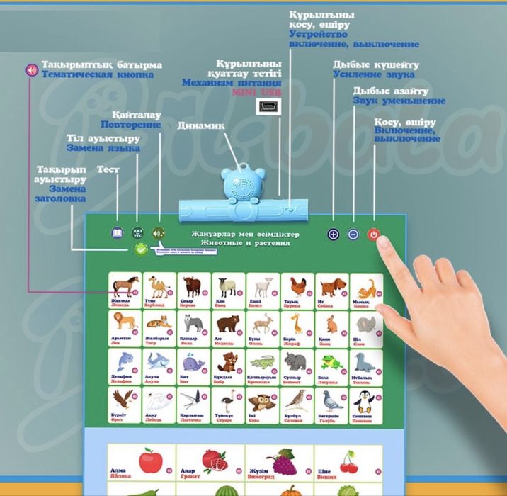 Bil-bala интерактивті дыбысты кітапша
