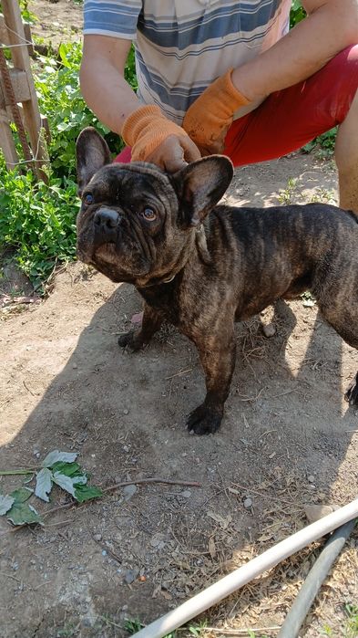 Познакомлюсь с девушкой